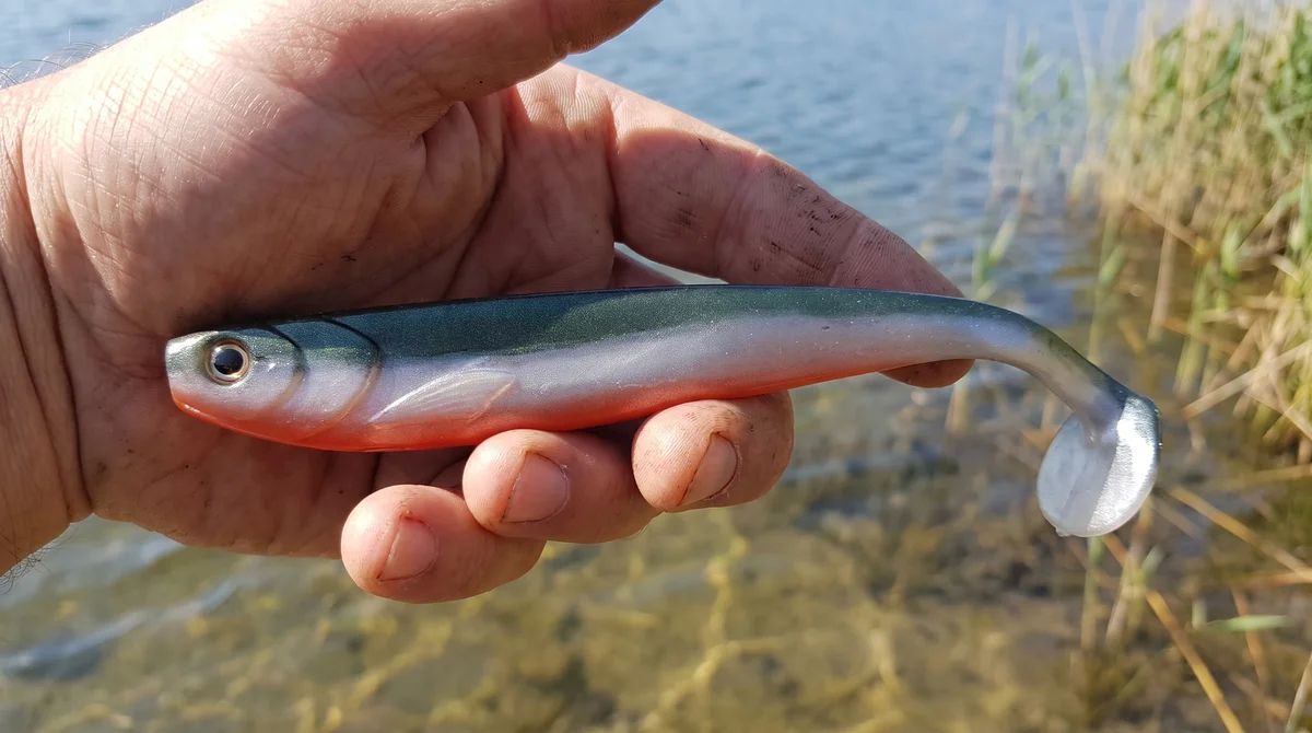 Zite Fishing Inzite Shad Crystal Flame 15,5 cm Gummifisch Hecht Zander 4 Stück - Detaillierte Übersicht