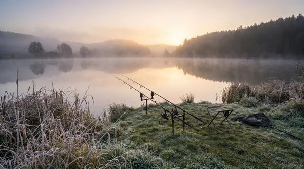 Was ist der beste Köderfisch für Zander? Tipps &amp; Strategien