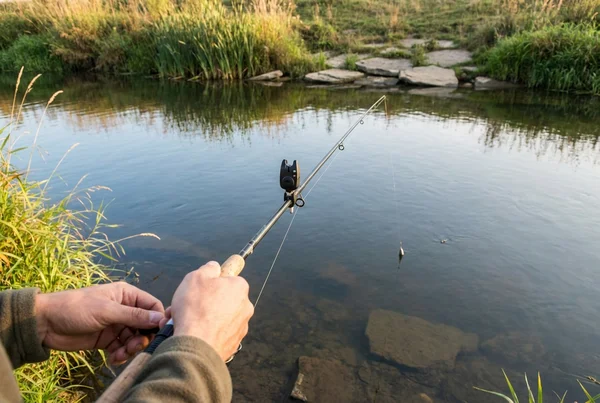Wie montiert man ein laufblei für friedfisch angeln in der Praxis
