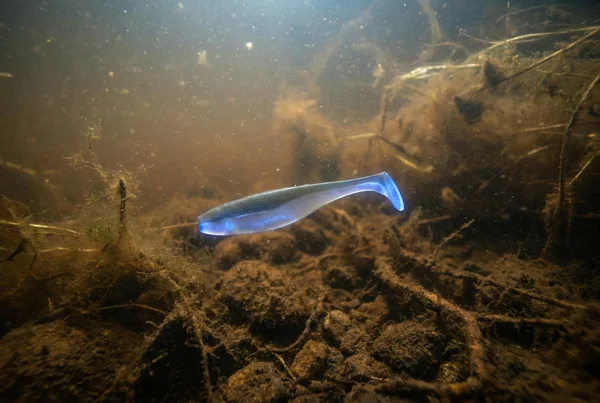 Warum uv-aktive köder bei trübem wasser mehr bisse bringen – Detailansicht