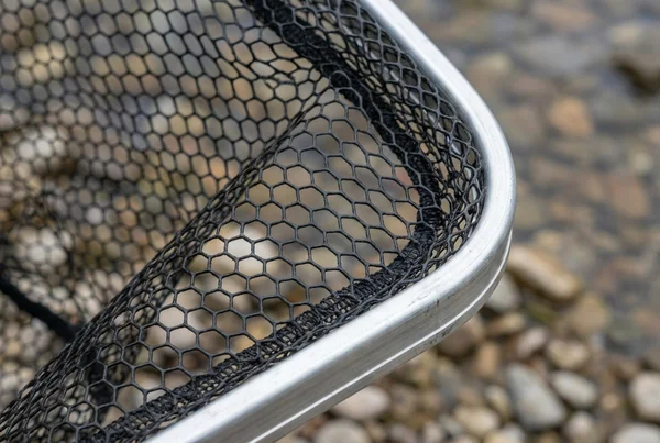 Wie wähle ich den richtigen kescher für zielfisch aus – Detailansicht