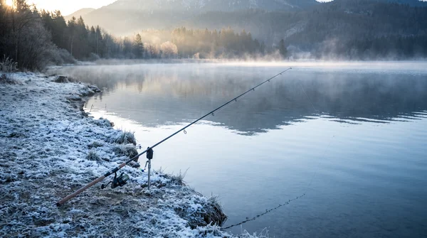 Beste Gummiköder Größe für Forellen im Winter: Strategien für kalte Tage
