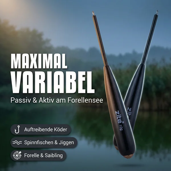 Zite Fishing Bodendetektor Posen 10 g 2 Stück _auswahl5