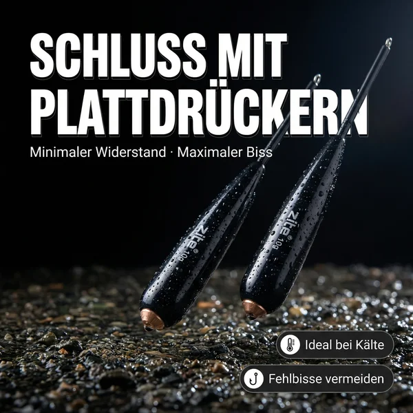 Zite Fishing Bodendetektor Posen 10 g 2 Stück _auswahl8