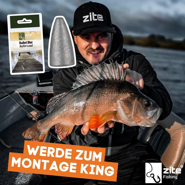 Zite Fishing Bullet Blei Angelgewichte 14g 5 tlg. ideal für Barsch & Zander_auswahl6