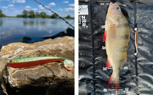 Zite Fishing Gummifisch lime bomb 15 Stück_auswahl6