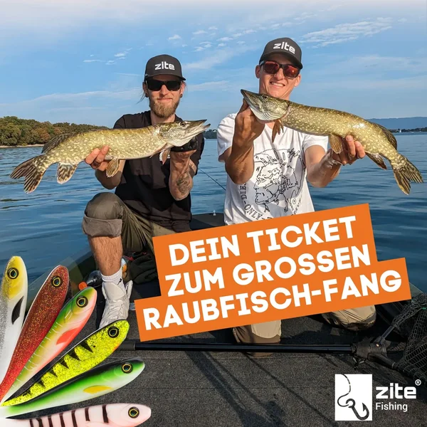 Inzite Flanker Hecht Gummifisch Green Shiner 18,5cm Shad 3er Set_auswahl5