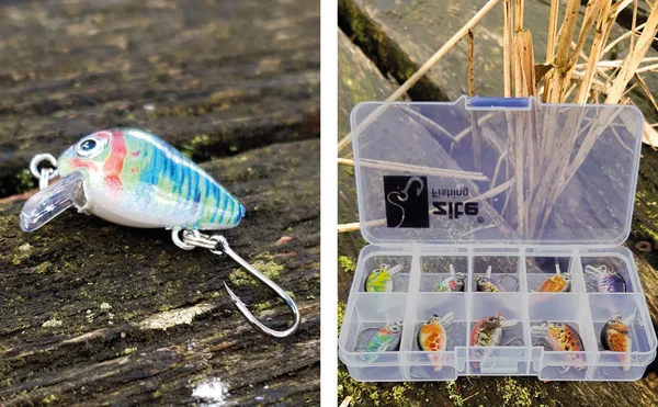 Miniwobbler-Set 10 Stück Forelle Barsch Angeln in Box Zite Fishing_auswahl6