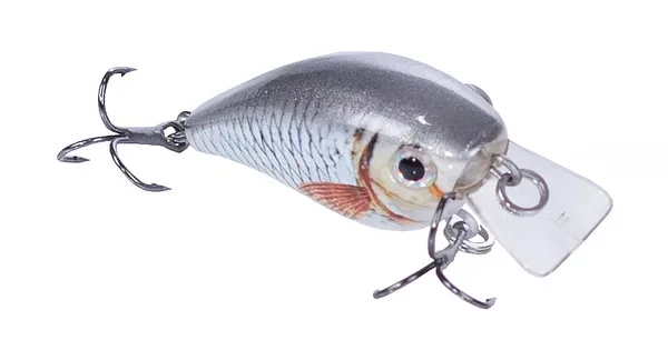 Zite Fishing Wobbler Set - 5 Crankbait Kunstköder 6,5g 5,5cm in Box_auswahl5