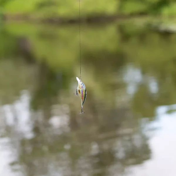 Crankbait Wobbler Set Natur 3D Designs 8,9cm 5 STK in Box_auswahl6