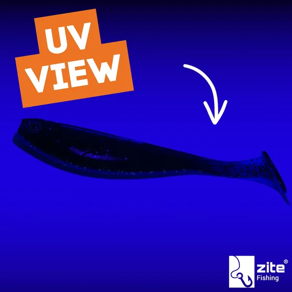 Inzite Pershad Black Vibe 8 cm 7 STK Gummiköder Barsch_auswahl4
