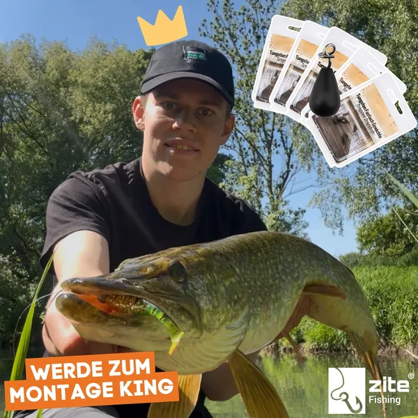 Fastach Angelgewichte Bleifrei 2x 10,6g Shallow & Jika Rig Gewichte mit Fastach-Clip Zite Fishing_auswahl6