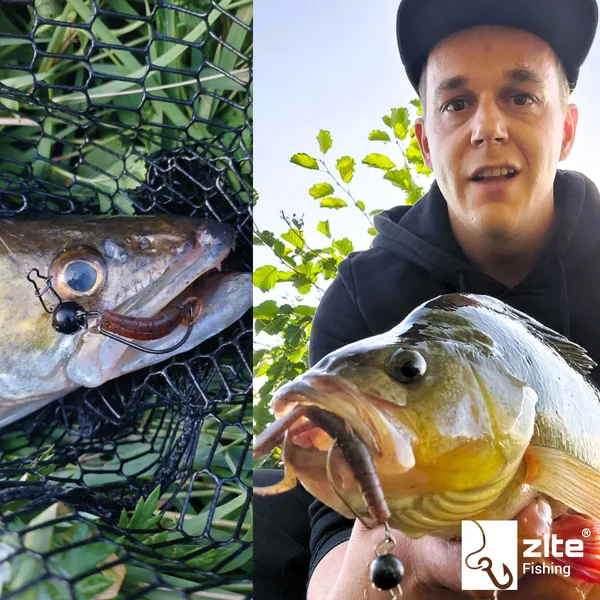 Gummiköder Krebsimitat Barsch & Zander Angeln Inzite Braw Mossy Swamp 8 STK Zite Fishing_auswahl7