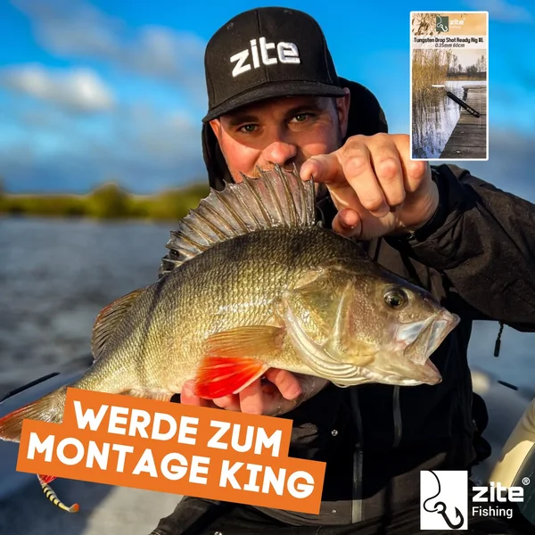 Zite Fishing Tungsten Drop Shot Ready Rig #L mit 14g Gewicht, DS Haken & Fluorocarbon-Coated Vorfach als Fertigmontage_auswahl6