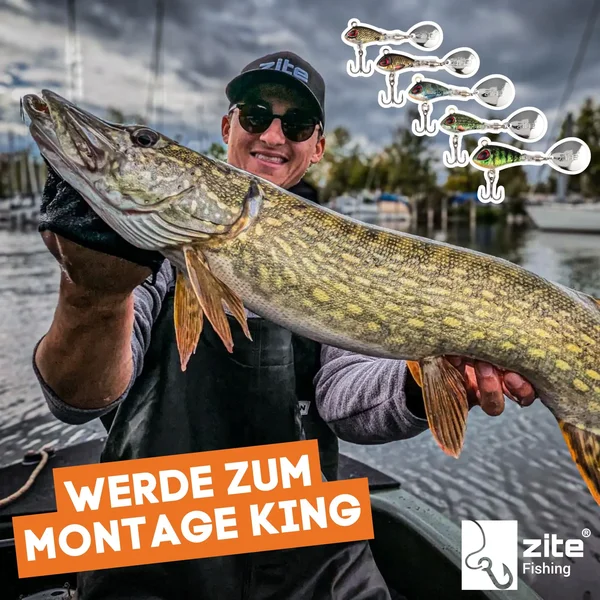 Spin Jigs Sortiment 5-15g 3D Natur Jigspinner Barsch Zander Köder mit Köderbox_auswahl7