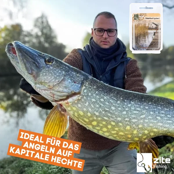 Zite Fishing Köderfisch System S, M & L - Stinger Raubfisch Hechtmontage - 7x7 Stahlvorfach - Fertigsystem_auswahl4