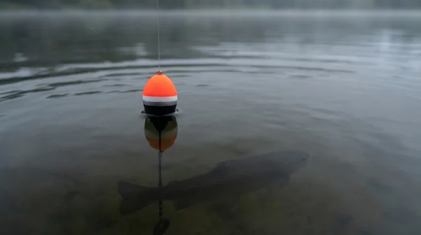 Zite Fishing Schlepp-Posen Set Rund 3g – Vorgebleit mit Dreifachwirbel & Gummistopper für Forelle & Hecht_auswahl6
