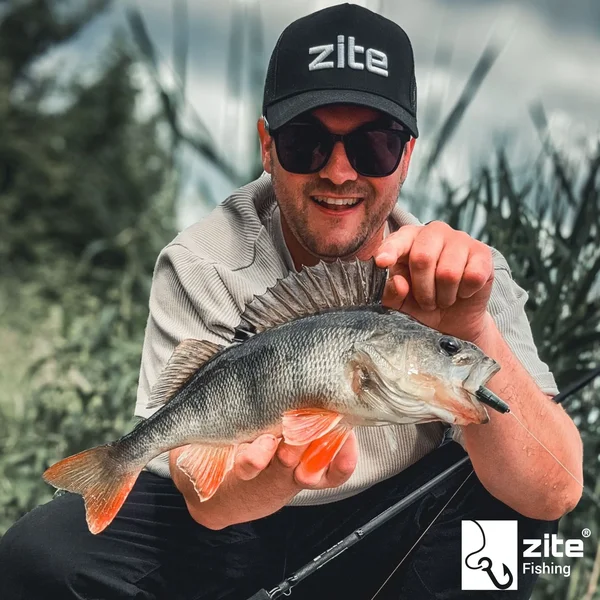 Creature Bait Starterset - Inzite Craw & Braw je 3 Farben mit GRATIS Drop Shot, Texas & Carolina Rig-Montagen_auswahl7