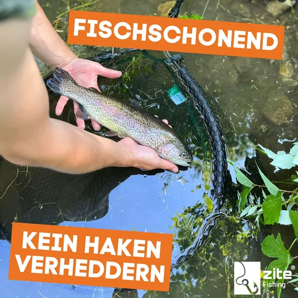 Streetfishing Kescher Gummiert Teleskop Spinnkescher 3,70 m im Set mit GRATIS XXL Hakenlöser Zange  Zite Fishing_auswahl3
