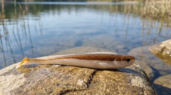Inzite Shad Classic Brownie 15,5 cm – Gummifisch für Zander & Hecht, 4 Stück_auswahl1