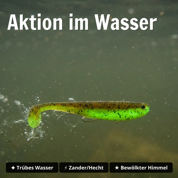 Inzite Shad Green Pumpkin 15,5 cm Gummifisch – UV-aktiv für Zander & Hecht – 4 Stück_auswahl3