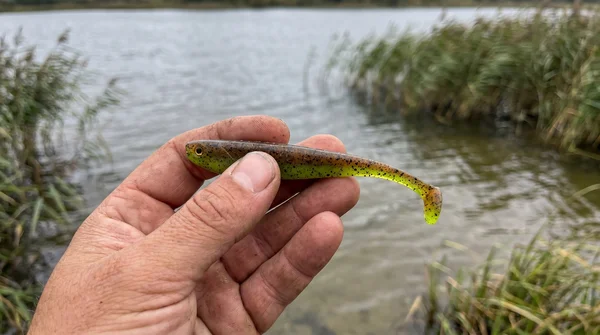 Inzite Shad Green Pumpkin 15,5 cm Gummifisch – UV-aktiv für Zander & Hecht – 4 Stück_auswahl5