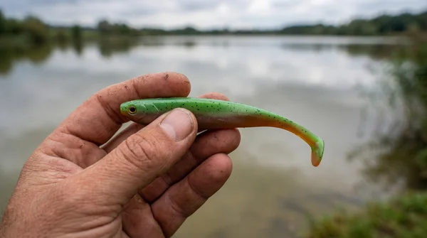 Inzite Shad Green Tomato 15,5 cm – Gummifisch für Zander & Hecht 4 Stück_auswahl5
