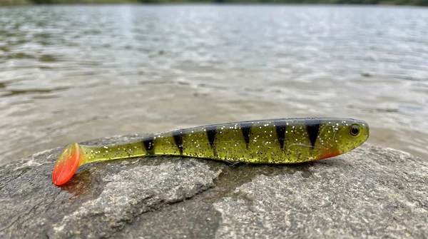 Inzite Shad Lightning Perch 15,5 cm Gummifisch 4 Stück – UV-aktiv für Zander & Hecht_auswahl1