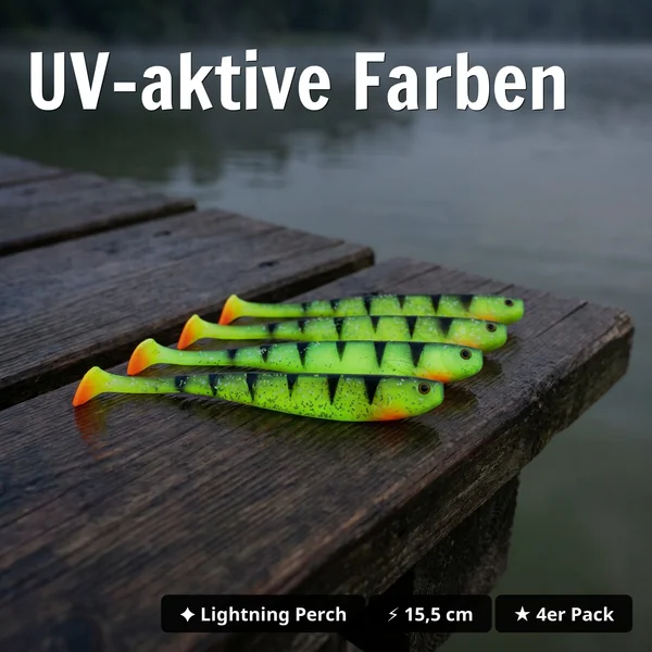 Inzite Shad Lightning Perch 15,5 cm Gummifisch 4 Stück – UV-aktiv für Zander & Hecht_auswahl2