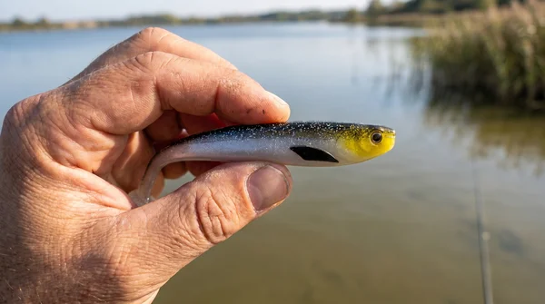 Zite Fishing Inzite Shad Golden Voltage 15,5 cm – Gummifisch für Zander & Hecht, 4 Stück_auswahl5