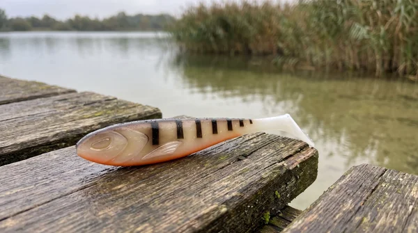 Zite Fishing XL Inzite Flanker Gummifisch Barbeque Otto 23,5 cm – Großhecht Köder im 2er Pack_auswahl1