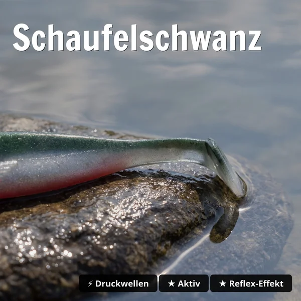 Zite Fishing Inzite Shad Crystal Flame 12 cm Gummifisch 5 Stück – Zander Angeln_auswahl3