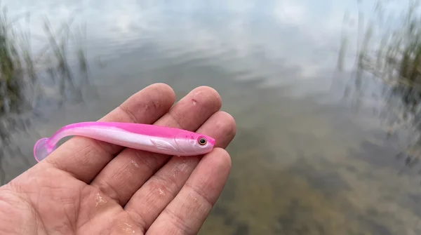 Zite Fishing Inzite Shad Pink Blush 15,5 cm Gummifisch für Hecht & Zander – 4 Stück_auswahl5