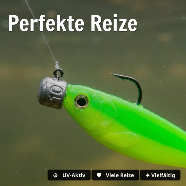 Zite Fishing Ultimative Starterbox Barsch – Komplettset mit Gummifischen, Rigs & Jigspinner_auswahl2