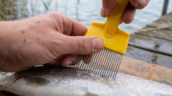 Zite Fishing Filetierkamm – Edelstahl-Zinken und Kunststoffgriff zum Fixieren_auswahl5