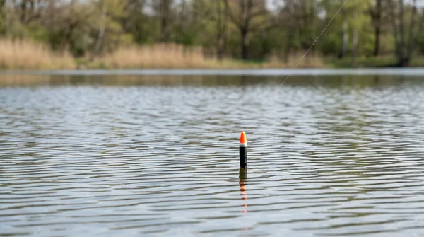 Zite Fishing Schlepp-Posen 3er Set 2g 3g 4g – Forelle & Hecht Laufposen Schleppangeln_auswahl4