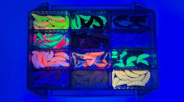 Mighty Mag Starterbox – 144 Gummiköder 2,8 cm in 12 Farben mit Tackle-Box – Forellen Köder Set_auswahl5