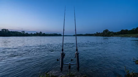 Aalmontage Fluss: Die besten Grundangeln-Setups