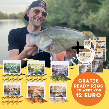 Creature Bait Starterset - Inzite Craw & Braw je 3 Farben mit GRATIS Drop Shot, Texas & Carolina Rig-Montagen