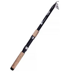 Zite Fishing 2x Teleskoprute 2,70 m + 2x Karpfenrolle bespult Base Reel 3000 + Rutentasche 1 m + Haken mit Schnur Aal - Angelruten teleskopierbar