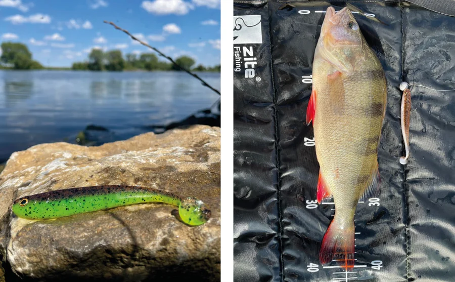 Zite Fishing Gummifisch green pumpkin 15 Stück - Unser Gummifisch im Outdooreinsatz