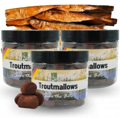 Zite Fishing Troutmallows-Set Fisch braun 3x40g Forellenköder  - 3 praktische Dosen mit jeweils 40g