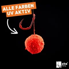Zite Fishing Dip Powder Scopex/Tigernuss Fluo orange 50 g - UV-Aktivität