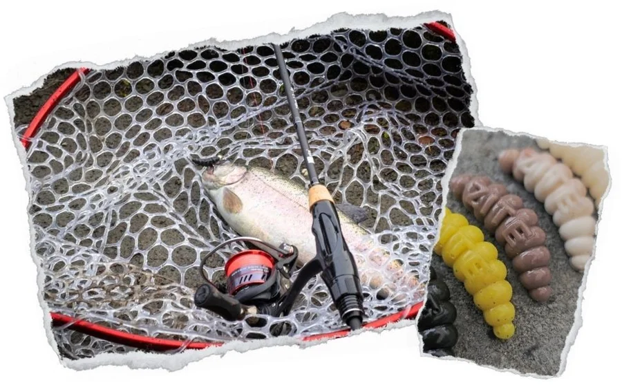 Mighty Mag Natur Mix Knoblauch 2,8 cm Bienenmaden Forellenköder 12 Stück - Unsere Mighty Mags im Outdoor-Einsatz