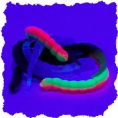 Curly Viper Allround Mix Käse Gummiköder Forelle mit Aroma 6,5 cm 8 Stück - Teils UV-Aktiv