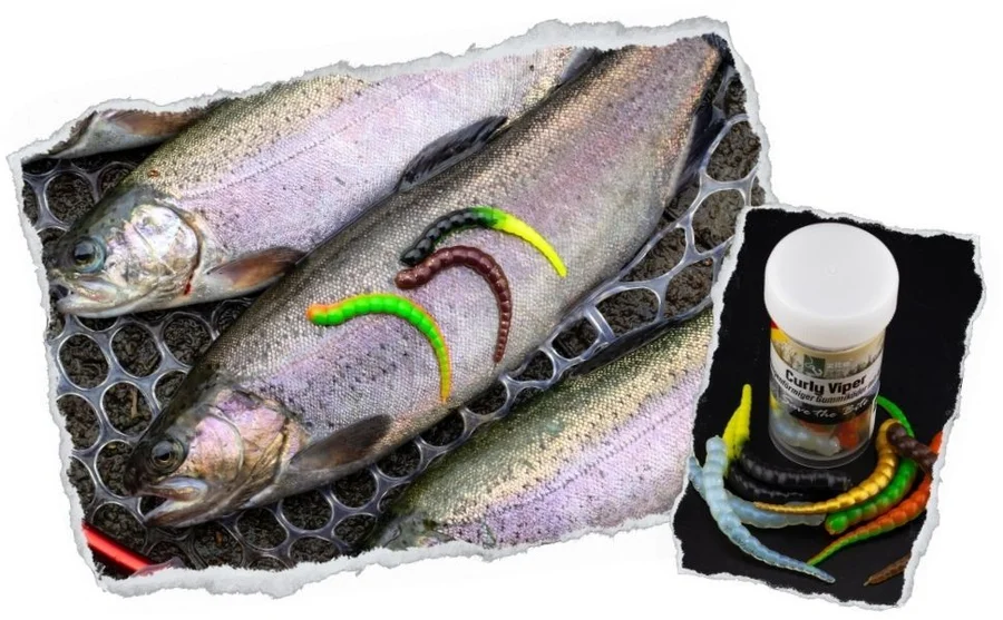 Curly Viper Allround Mix Käse Gummiköder Forelle mit Aroma 6,5 cm 8 Stück - Unsere Curly Viper im Outdoor-Einsatz