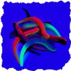 Zite Fishing Curly Viper Schock Mix Käse 6,5 cm Gummiköder für Forellen 8 Stück - UV-Aktive Farben für maximale Wirkung