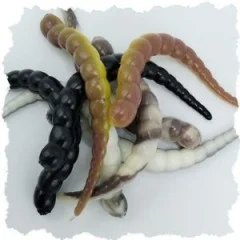 Zite Fishing Curly Viper Natur Mix Käse 6,5 cm Rotationsköder für Forelle 8 Stück - 8er Pack für natürliche Präsentation