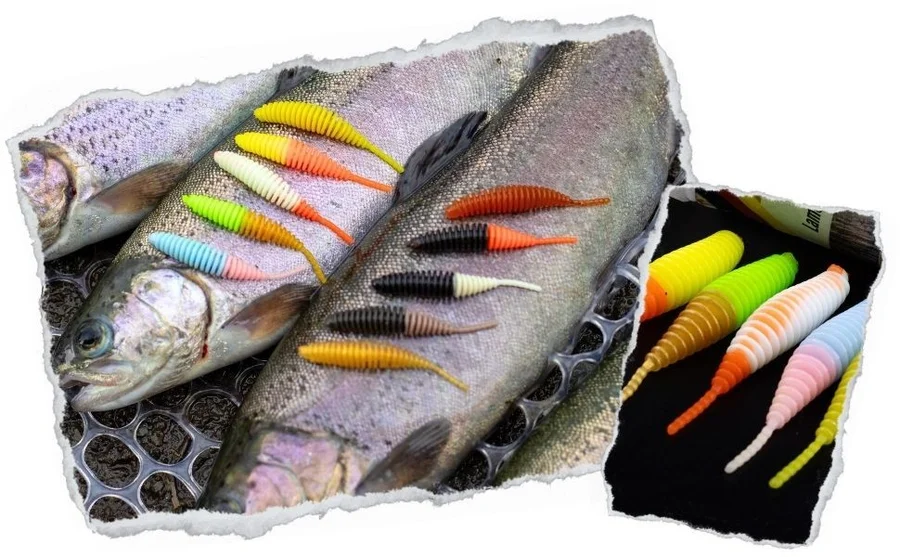Zite Fishing Biggle Worm Natur Mix Knoblauch 6,5 cm 8 Stück - Unsere Biggle Worm im Outdoor-Einsatz
