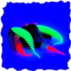 Zite Fishing Biggle Worm Allround Mix Knoblauch 6,5 cm 8 Stück - Teils UV-Aktiv